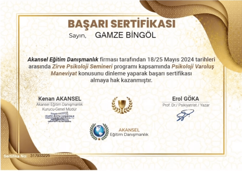 Kariyer Danışmanlığı Yetkinliği